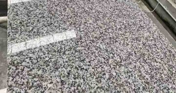 吉安 芙蓉白光面