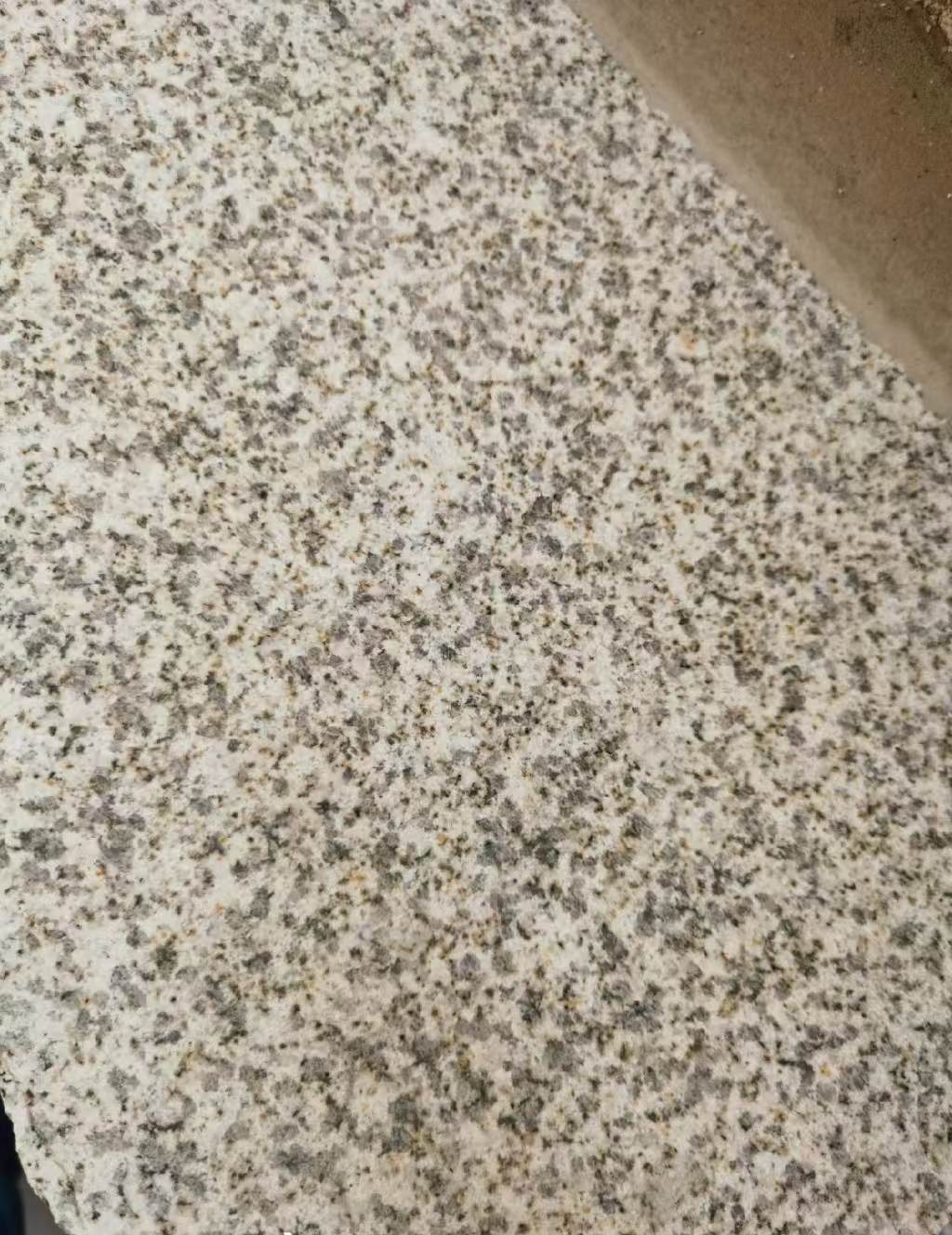 吉安 黄金麻中黄光面